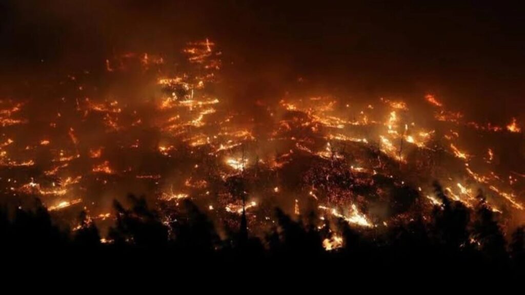 bursa orman yangını