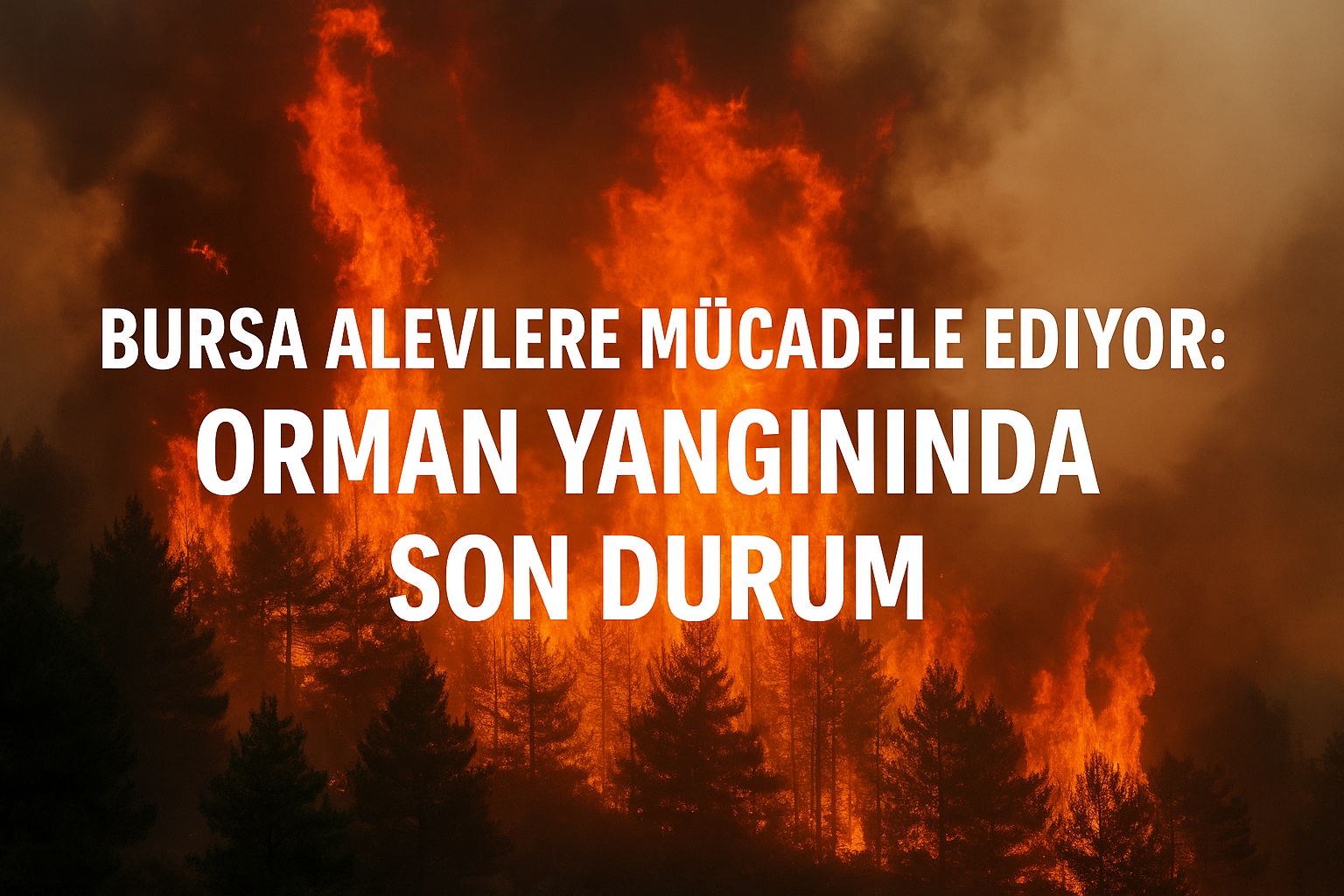 Bursa Alevlerle Mücadele Ediyor! Bursa Orman Yangını Son Durumu Ne?
