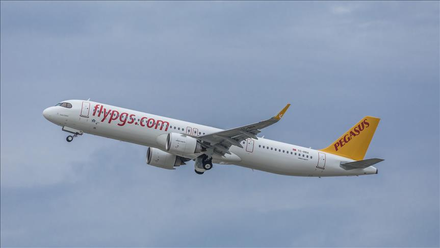 pegasus karı